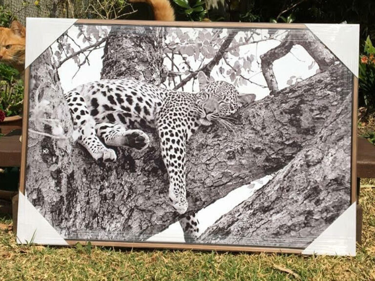 Mobile Picture and Photo Framing Services Fantastic Framing Mobile Picture and Photo Framing Services Fantastic Framing