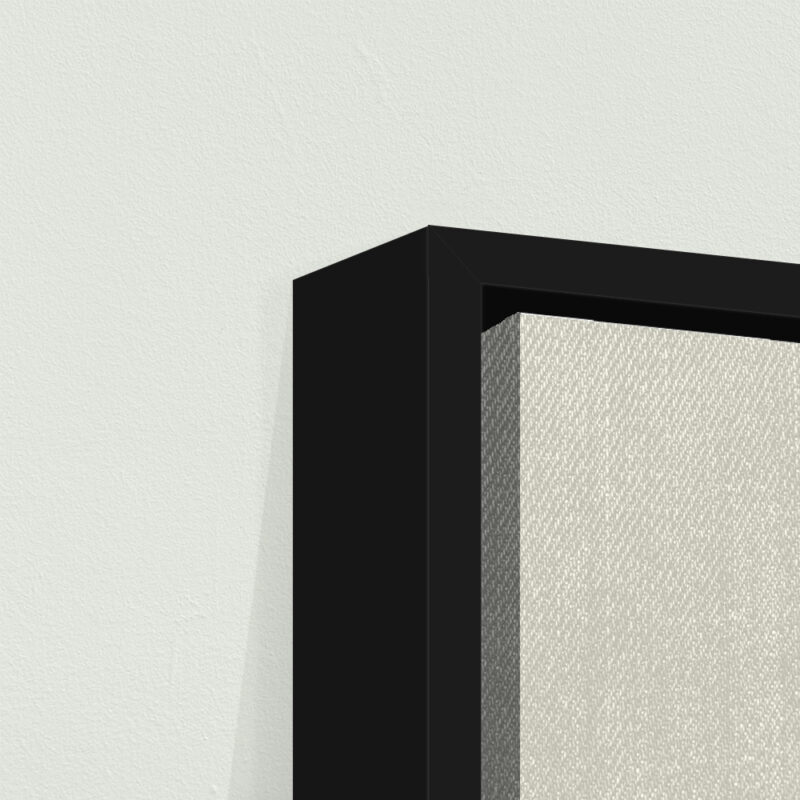 Stretched Blank Canvas With Floating Frame Fantastic Framing