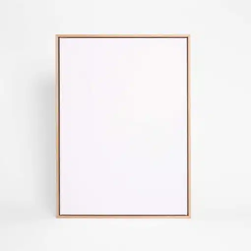 4 x Artist Blank Canvas & Floating Frame Assorted Sizes - Image 10