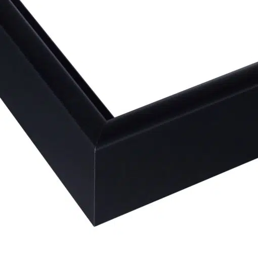 Frame Sample - Image 12