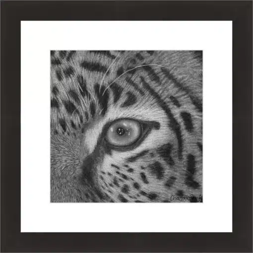 Frame your paper art