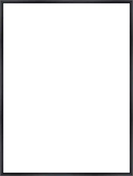 Frame Your Canvas Art