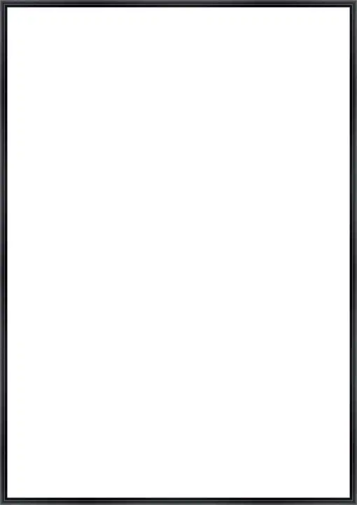 Frame Your Canvas Art