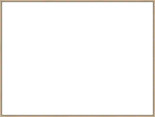 Frame Your Canvas Art