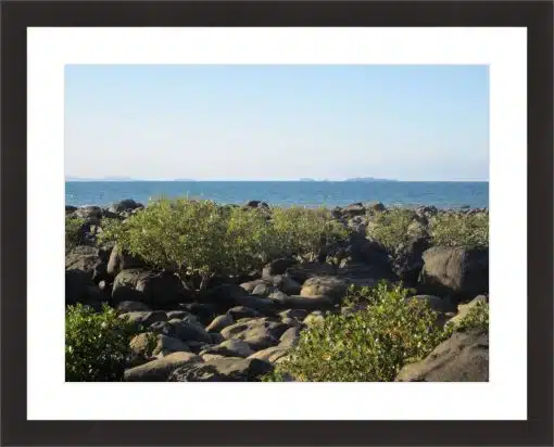 Print & Frame With Matboard & Glass