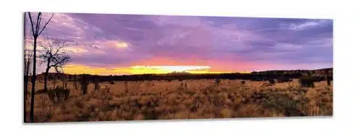 Canvas Print & Stretch