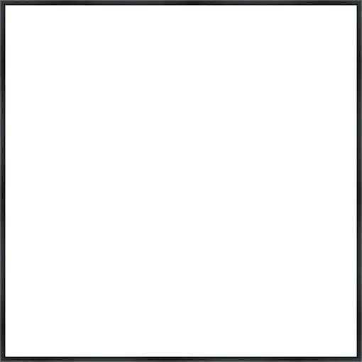 Frame Your Canvas Art