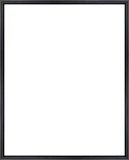 Frame Your Canvas Art