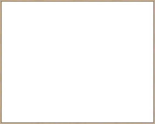 Frame Your Canvas Art
