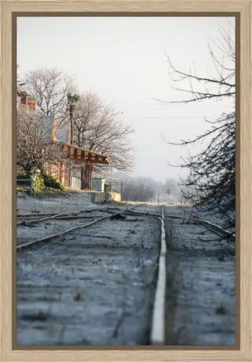Canvas Print & Frame