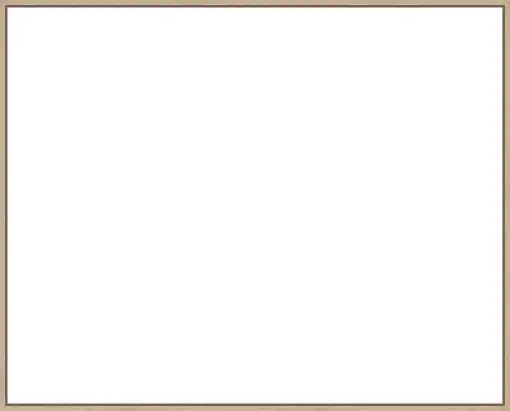 Frame Your Canvas Art
