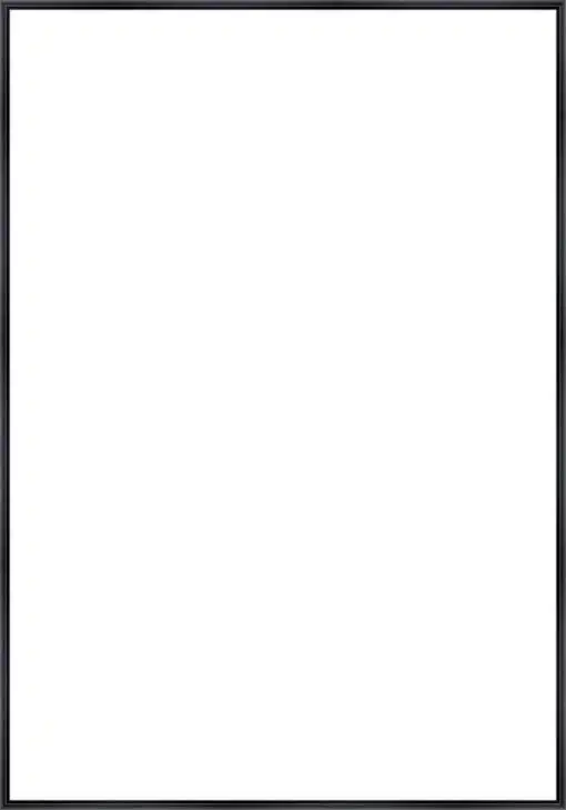 Frame Your Canvas Art