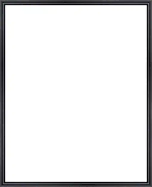 Frame Your Canvas Art