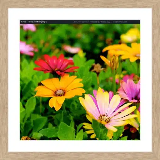 Print & Frame With Matboard & Glass
