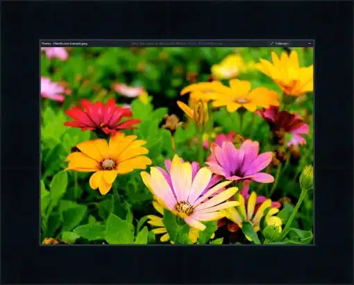 Print & Frame With Matboard & Glass