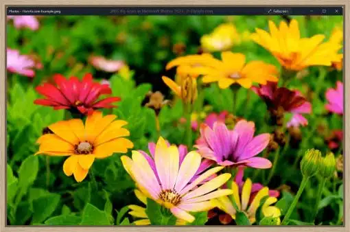 Canvas Print & Frame
