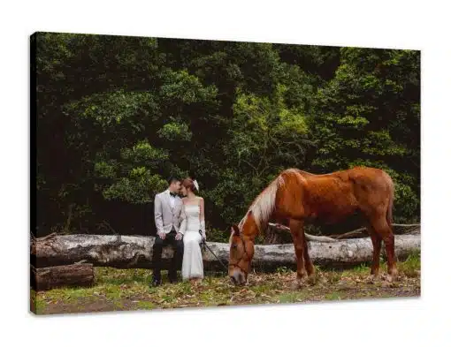 Canvas Print & Stretch
