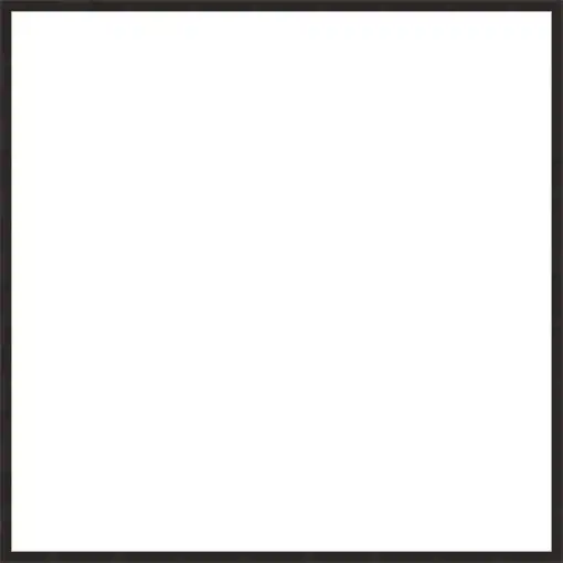Frame Your Canvas Art