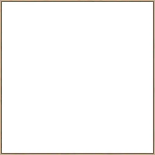 Frame Your Canvas Art