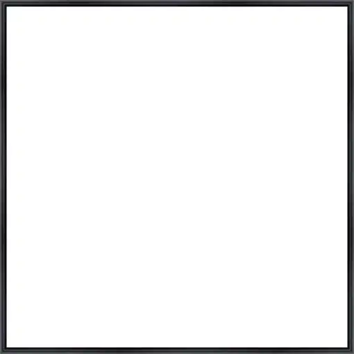 Frame Your Canvas Art