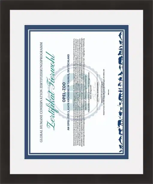 Print & Frame With Matboard & Glass