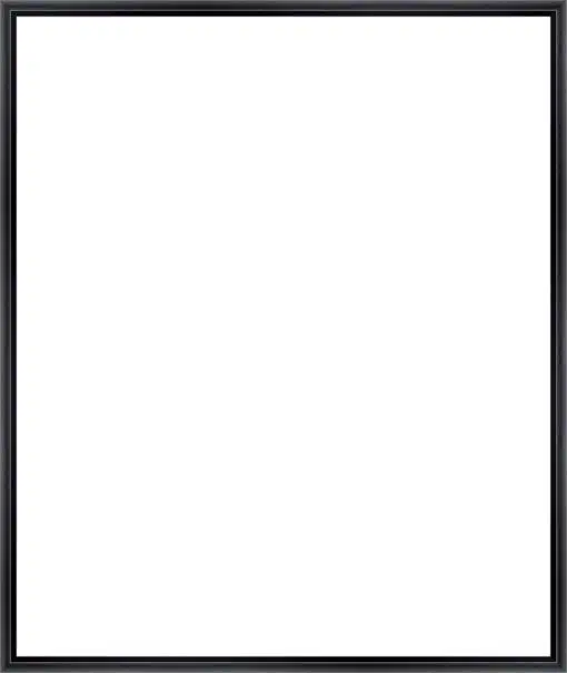 Frame Your Canvas Art