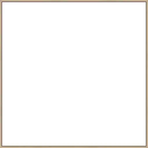 Frame Your Canvas Art