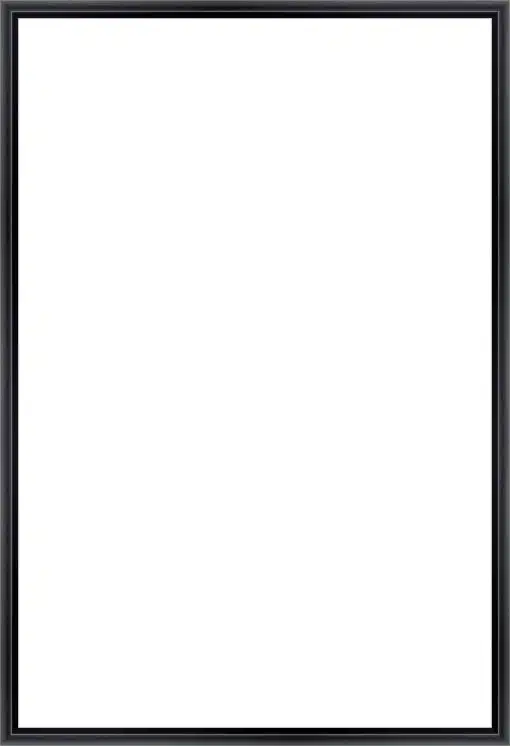 Frame Your Canvas Art