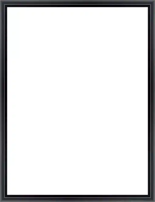 Frame Your Canvas Art