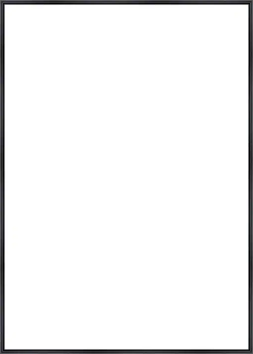 Frame Your Canvas Art