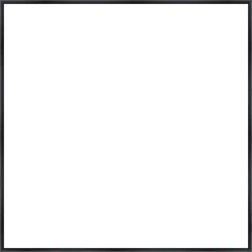 Frame Your Canvas Art