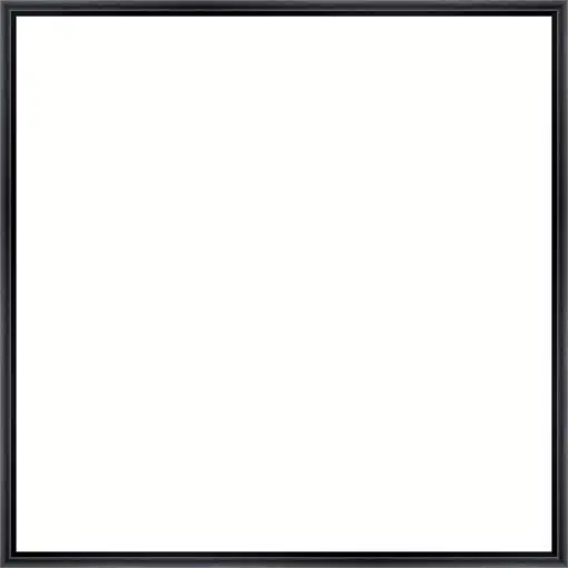 Frame Your Canvas Art