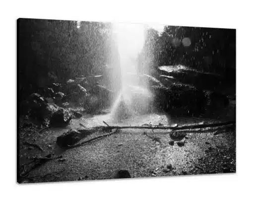 Canvas Print & Stretch