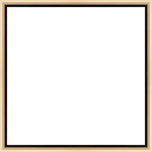 Frame Your Canvas Art