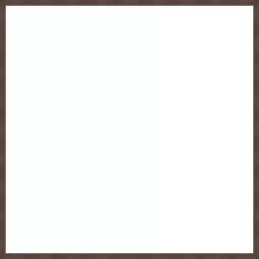 Frame Your Canvas Art