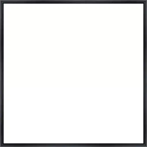 Frame Your Canvas Art