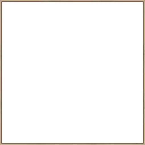 Frame Your Canvas Art