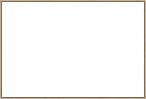 Frame Your Canvas Art