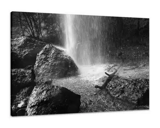 Canvas Print & Stretch