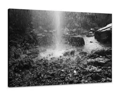 Canvas Print & Stretch