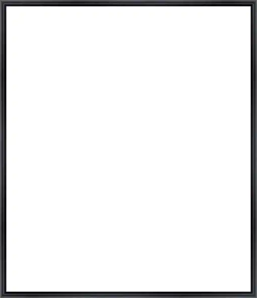 Frame Your Canvas Art