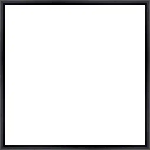 Frame Your Canvas Art