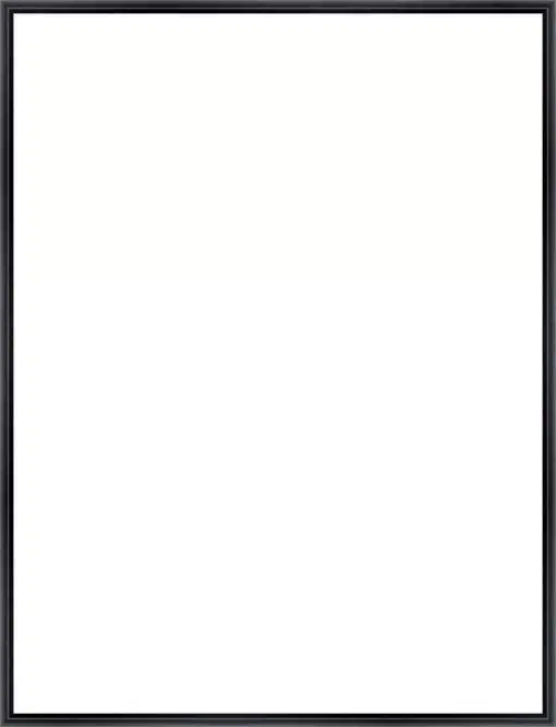Frame Your Canvas Art