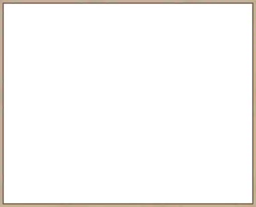 Frame Your Canvas Art