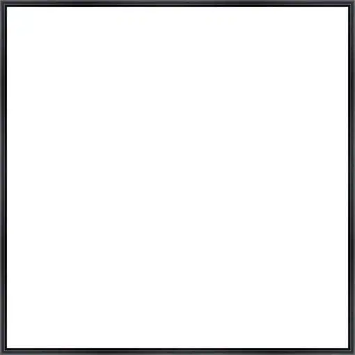 Frame Your Canvas Art