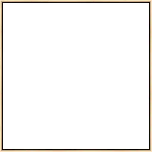 Frame Your Canvas Art