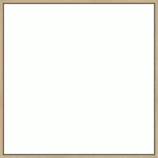 Frame Your Canvas Art
