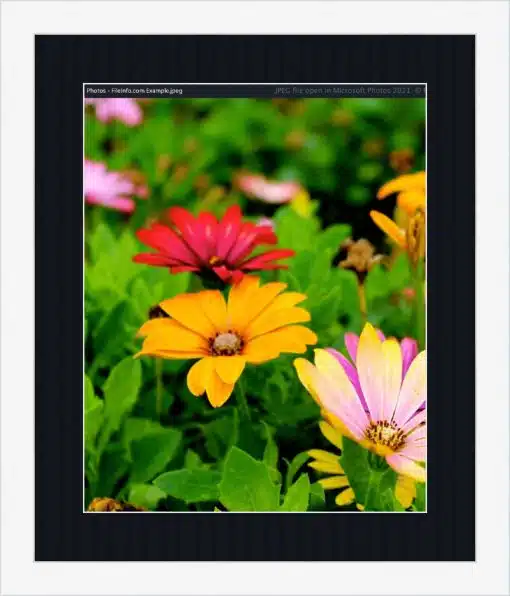 Print & Frame With Matboard & Glass