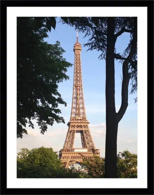 Print & Frame With Matboard & Glass