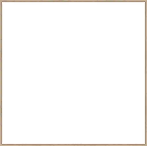 Frame Your Canvas Art
